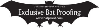 Exclusive Batproofing