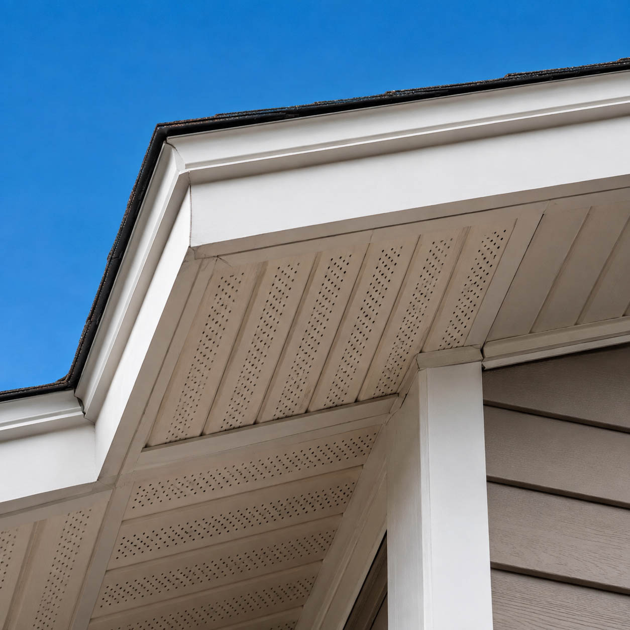 Batproofing Soffits & Fascia